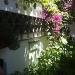 Nikoleta