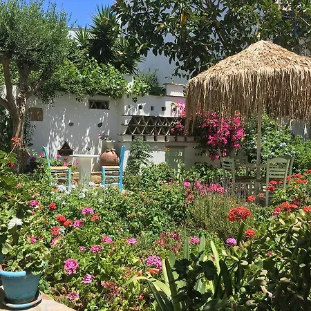Nikoleta