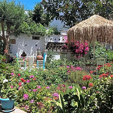 Nikoleta 3*