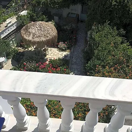 Nikoleta 3*