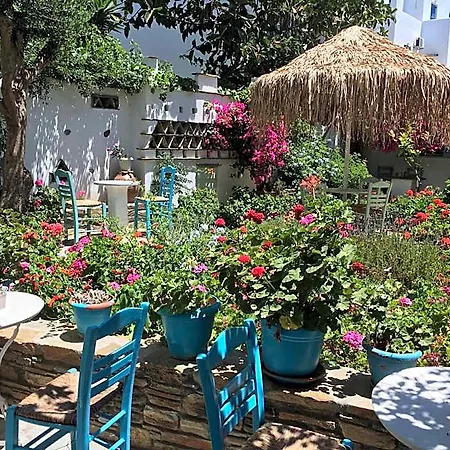 Nikoleta 3*