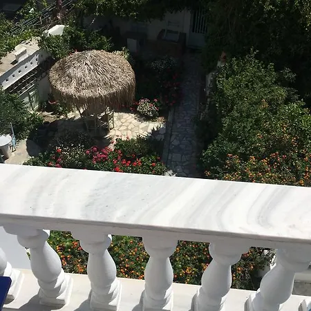 Nikoleta